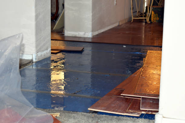 Professional Burst Pipe Cleanup technician working in Taunton, MA